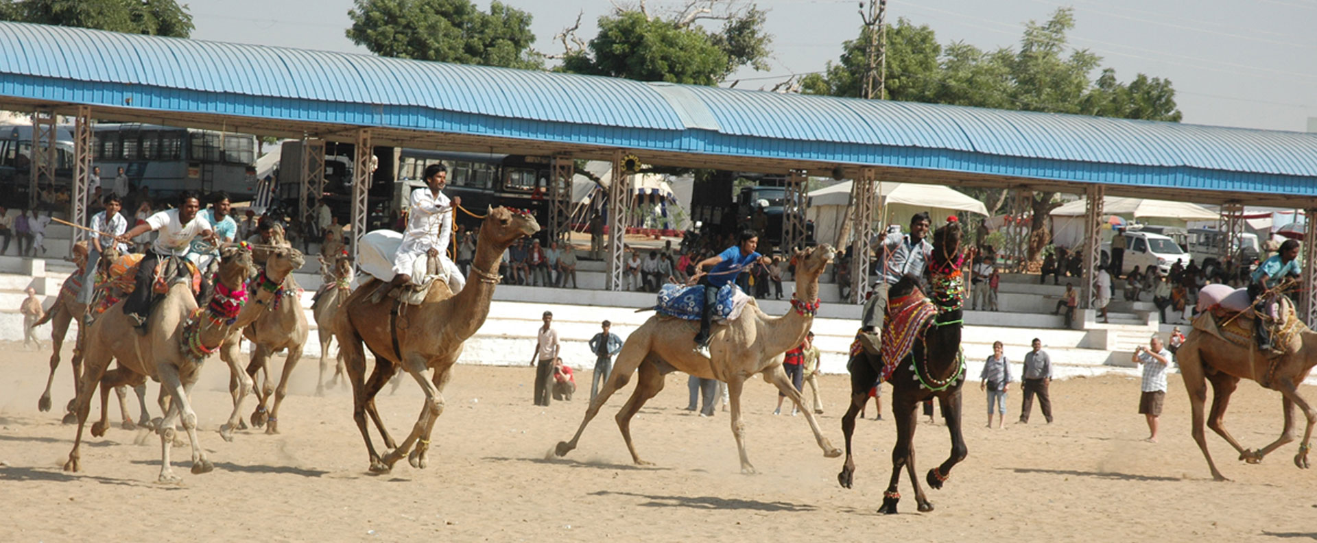 Pushkar Camel Fair 11