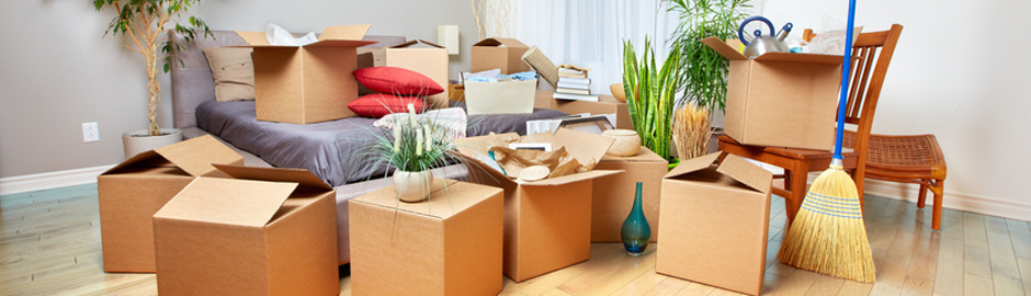 Packers And Novers in chittorgarh, Movers And Packers in Chittorgarh