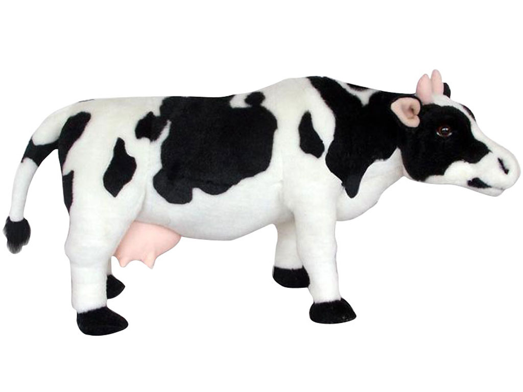 Large Size Cow