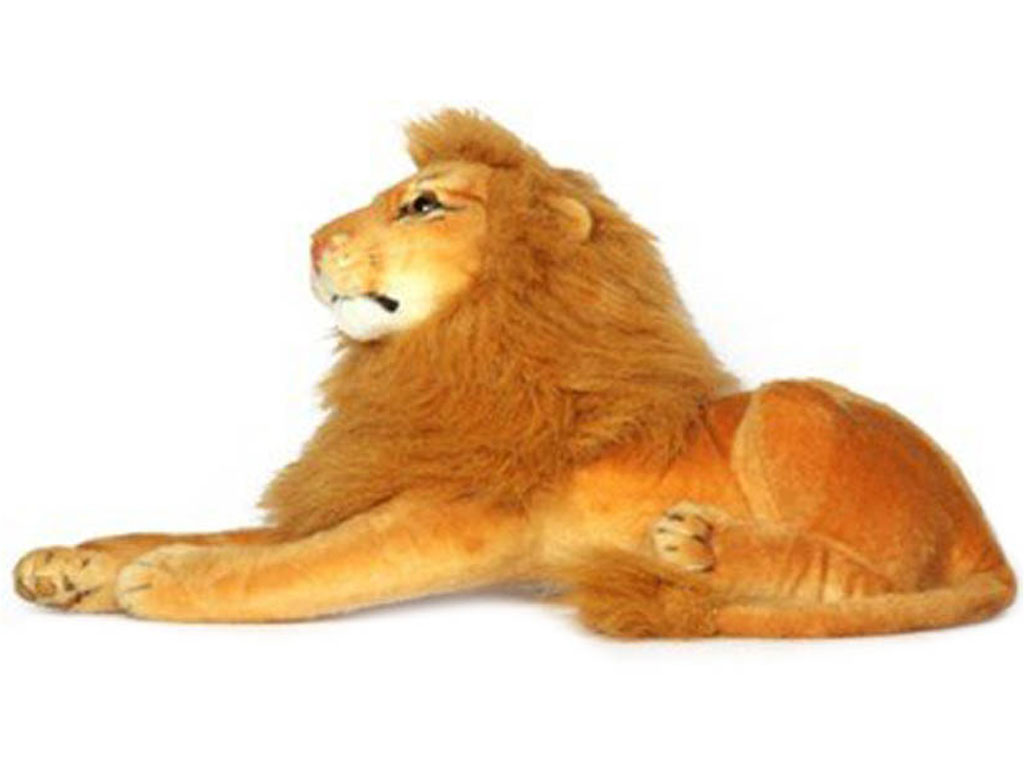Semi Large Size Lion
